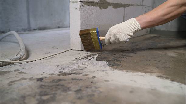 SJ Waterproofing Pros Waterproofing coverage map for Auburntown, TN and surrounding area